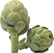 Alcachofa Lorca