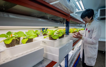 Investigación agrícola