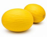 Melón Amarillo Hawai F1