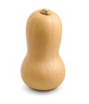 Calabaza Violín Avalon F1