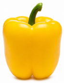 Pimiento California Amarillo Invernadero Verdejo F1