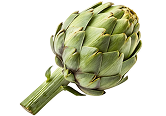 Alcachofa