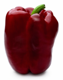 Pimiento Alcántara F1