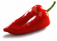 Pimiento Arca F1