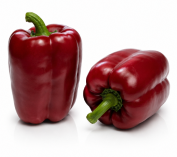 Pimiento Barberito F1