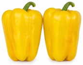 Pimiento Bético F1