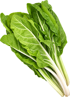 Acelga Verde Penca Blanca