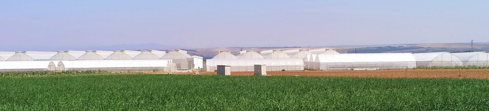 Instalaciones e invernaderos de Ramiro Arnedo