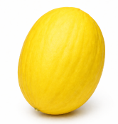 Melón Amarillo Canario R.A.