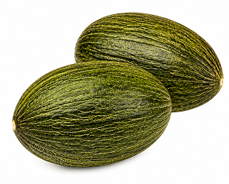 Melón Jabato F1