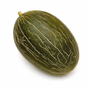Melón Rochet F1