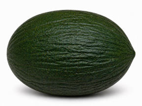 Melón Tendral Negro Tardío