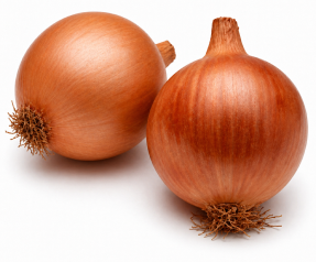 Cebolla Ciclope
