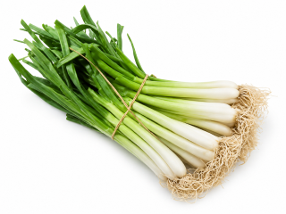 Cebolla Blanca G.T. Le Calçots
