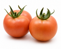 Tomate Indeterminado Grueso Invernadero Abrams F1