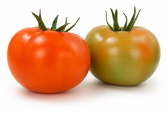 Tomate Abrams F1