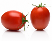 Tomate Macizo F1
