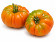 Tomate Mongo F1