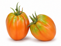Tomate Cuor di Bue
