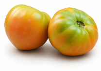 Tomate Valenciano