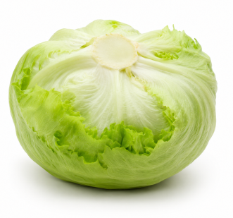Lechuga Iceberg Taku