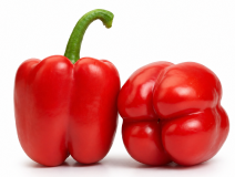 Pimiento Ercina F1