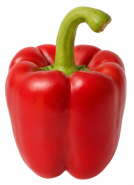 Pimiento Temple F1