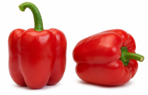 Pimiento Merlot F1