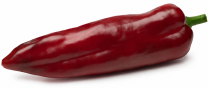 Pimiento Gaitanes F1