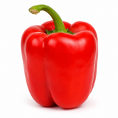 Pimiento Broquel F1