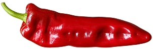 Pimiento Vito F1