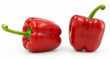 Pimiento Testudo F1