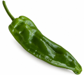 Pimiento Medrano F1