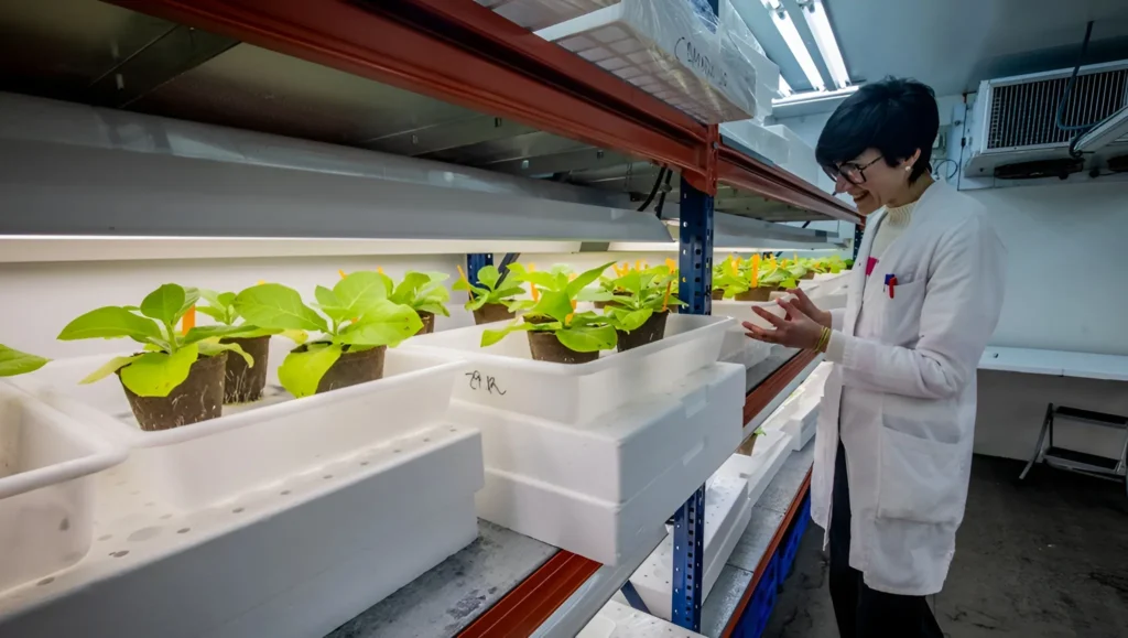 LA COMIDA DEL FUTURO SE DISEÑA EN CALAHORRA: INNOVACIÓN DESDE EL CORAZÓN DEL CAMPO