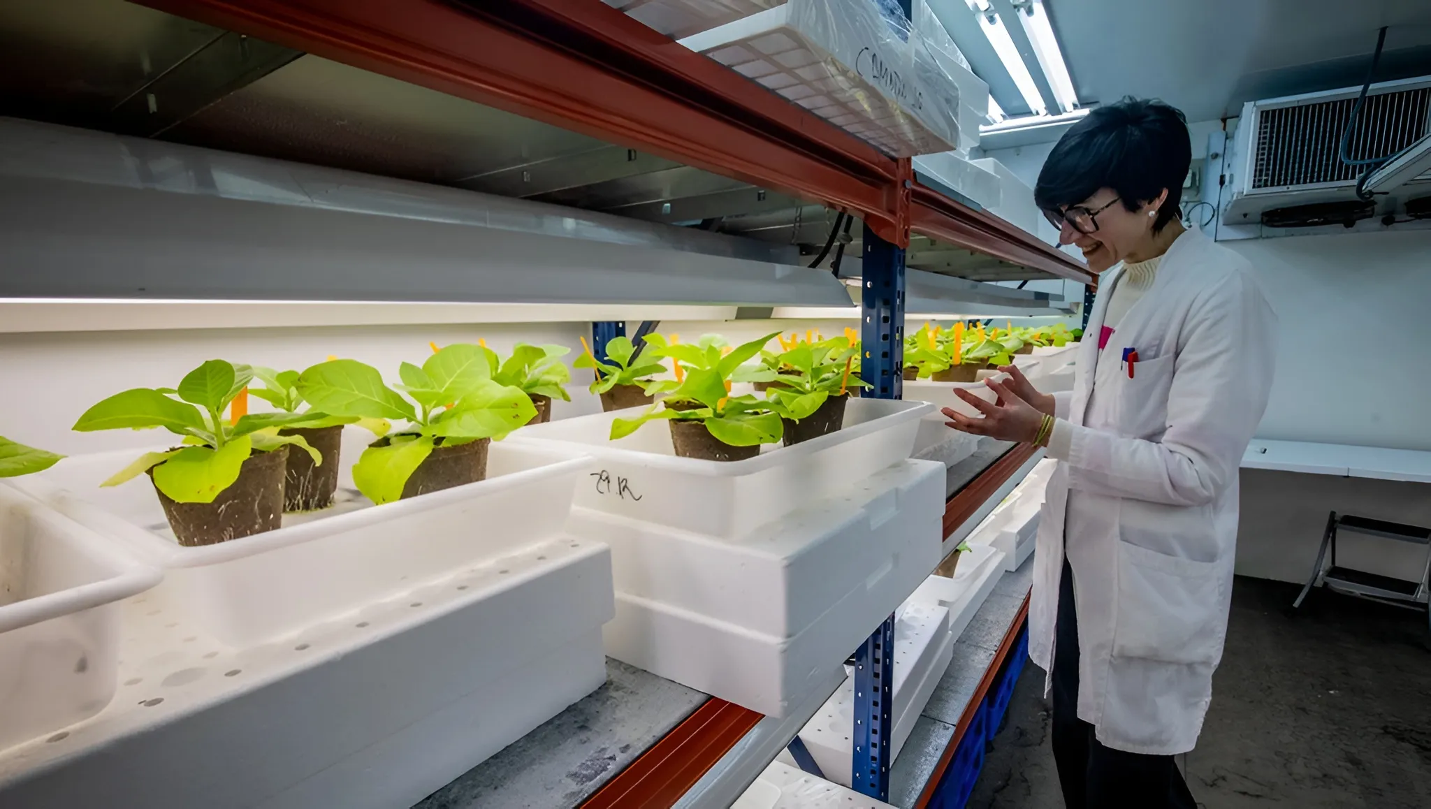 LA COMIDA DEL FUTURO SE DISEÑA EN CALAHORRA: INNOVACIÓN DESDE EL CORAZÓN DEL CAMPO