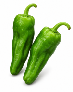 Pimiento Padrón