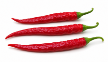 Pimiento Tietar F1
