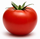 Tomate